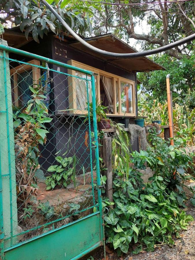 Posada Mana San Juan La Laguna Eksteriør bilde