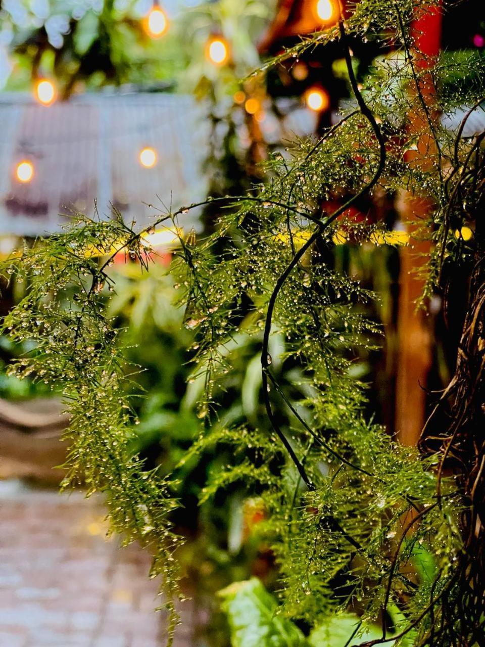 Posada Mana San Juan La Laguna Eksteriør bilde