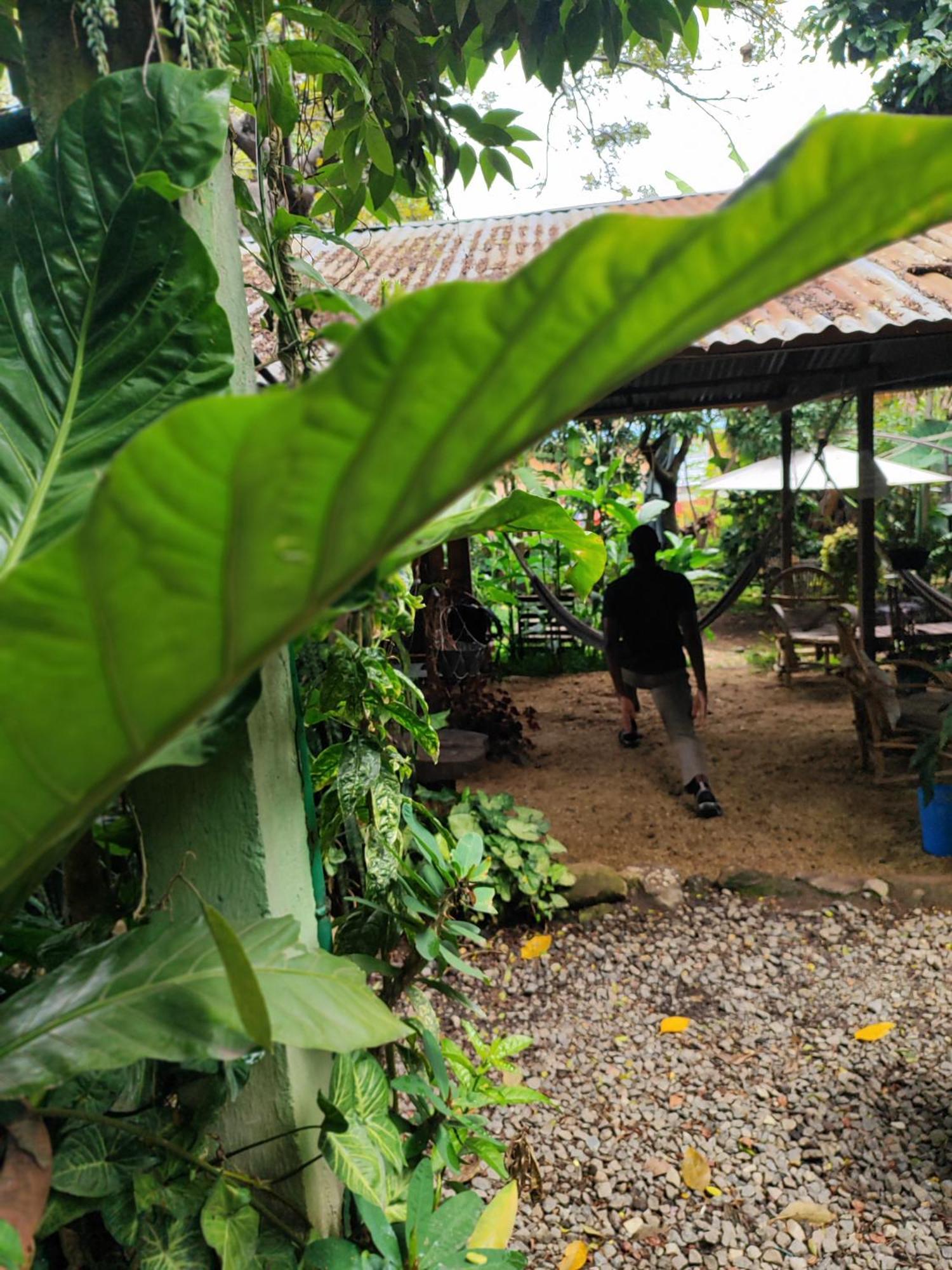 Posada Mana San Juan La Laguna Eksteriør bilde